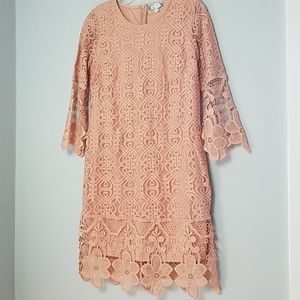 J.Gee Dress Crochet Overlay Blush NWT  Size L